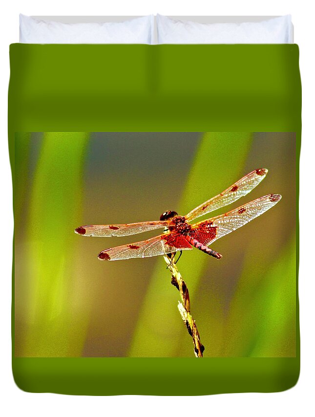 Dragonfly Duvet Cover featuring the photograph Red Saddlebags Dragonfly by Joy Buckels