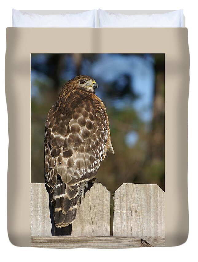  Duvet Cover featuring the photograph Red-Shouldered Hawk by Heather E Harman