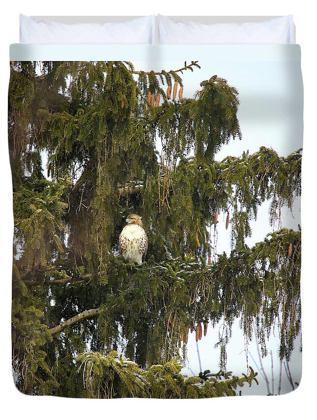 Red Shouldered Hawk Duvet Cover featuring the photograph Red Shouldered Hawk by Scott Burd