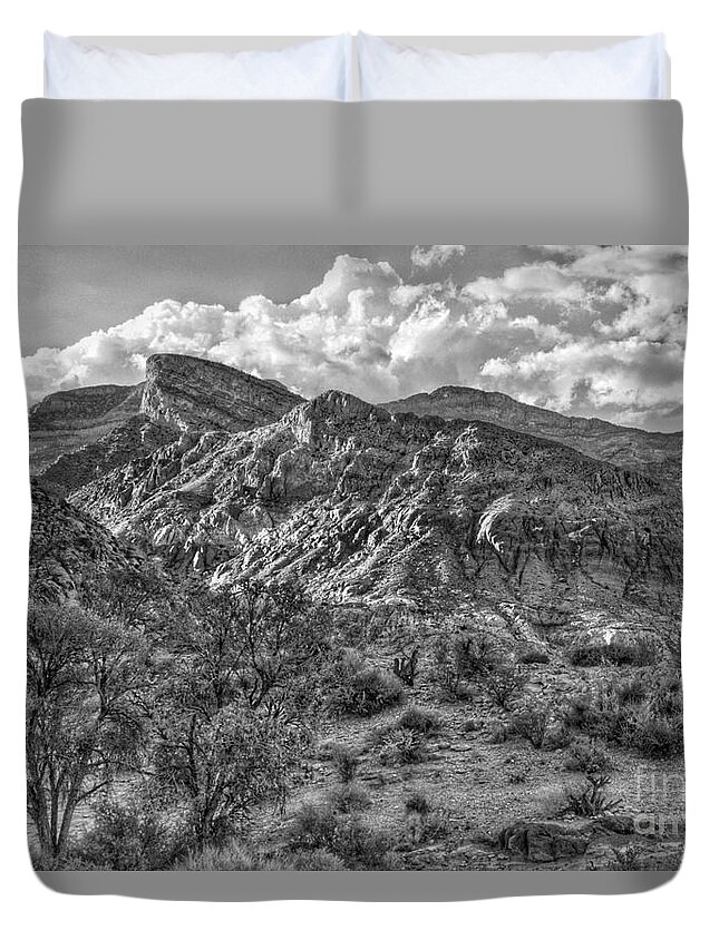  Duvet Cover featuring the photograph Red Springs Dream 13 by Rodney Lee Williams