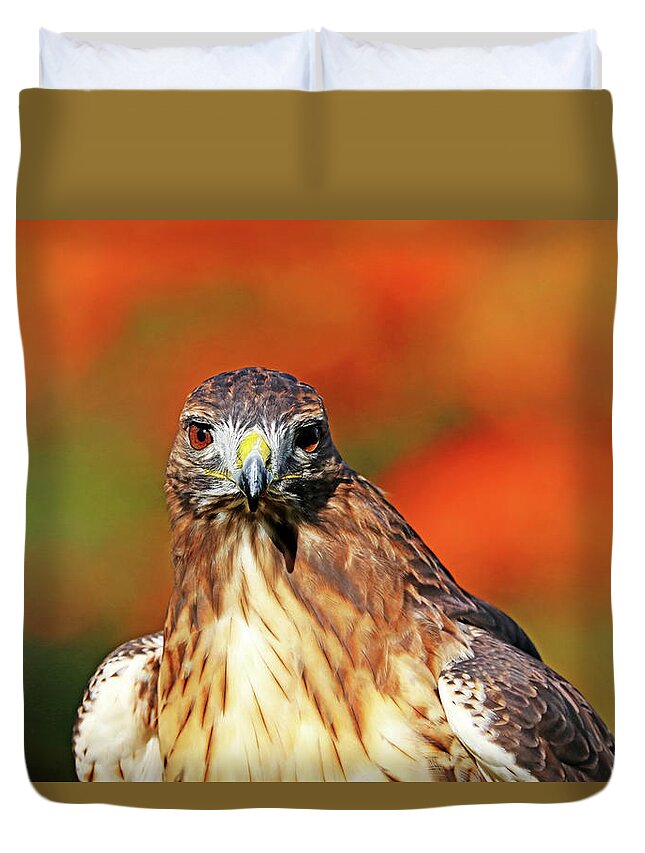 Red Tailed Hawk Duvet Cover featuring the photograph Red Tailed Hawk Stare by Debbie Oppermann