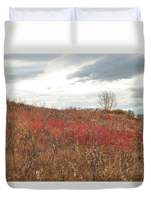 Red Duvet Cover featuring the photograph Red Wild Rose Patch In A Pasture by Karen Rispin