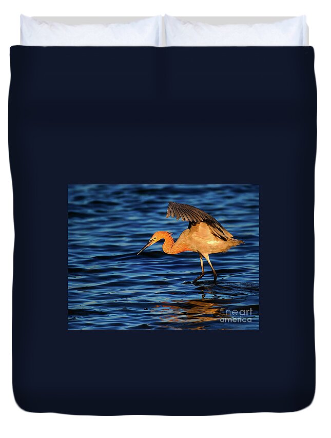 Reddish Egret Duvet Cover featuring the photograph Reddish Egret Canopy In Blue by John F Tsumas