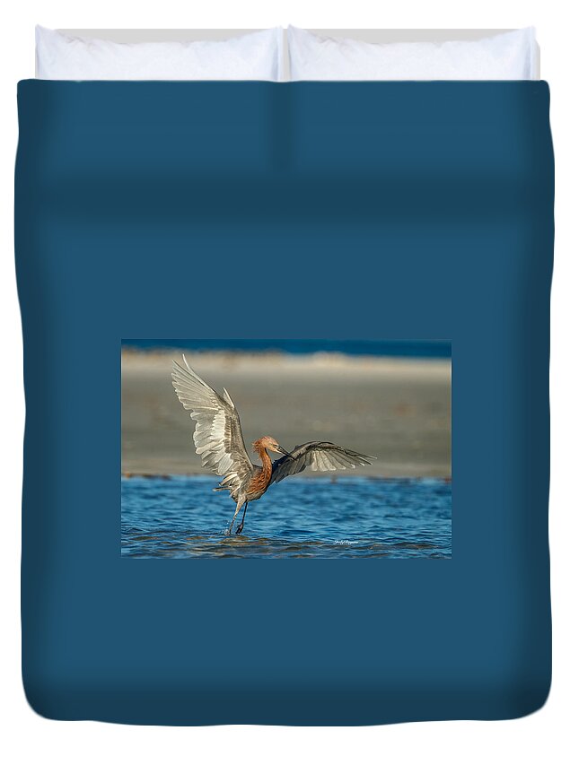 Reddish Egret Duvet Cover featuring the photograph Reddish Egret Fishing by Judy Rogero