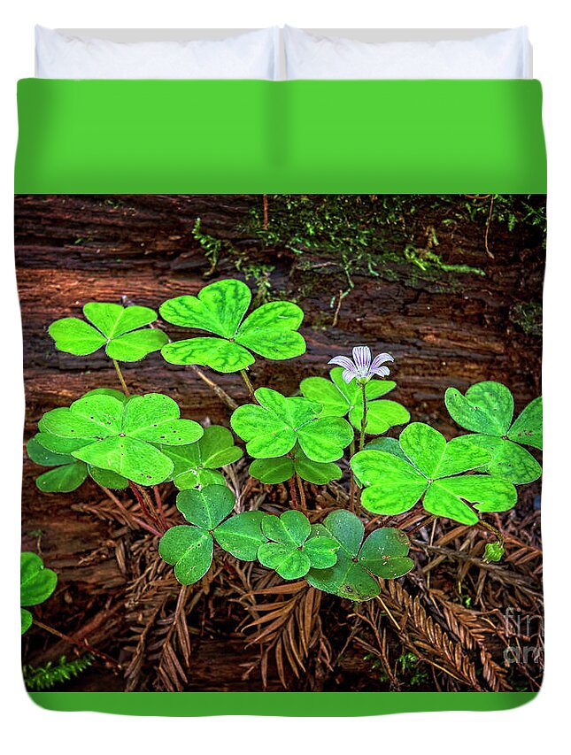 Adventure Duvet Cover featuring the photograph Redwood Sorrel by Charles Dobbs