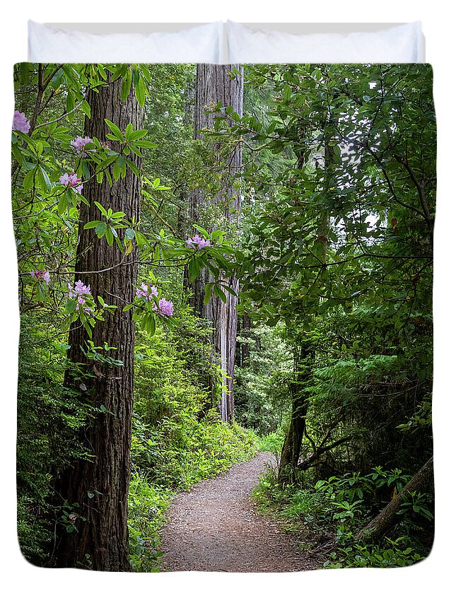 Redwoods Duvet Cover featuring the photograph Redwood Trail by Catherine Avilez