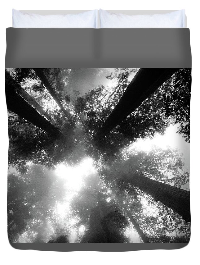 Redwood Duvet Cover featuring the photograph Redwoods in the fog by Craig A Walker