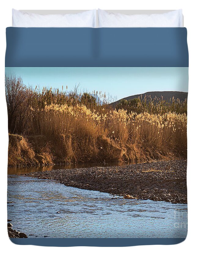 Santa Elena Canyon Duvet Cover featuring the photograph Reeds on the Rio Grande River at Sunrise by Bob Phillips
