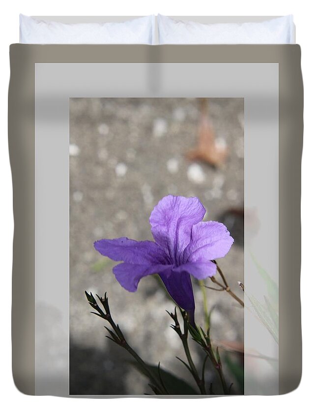 Fkiwers Duvet Cover featuring the photograph Reflections of beauty by Philip And Robbie Bracco
