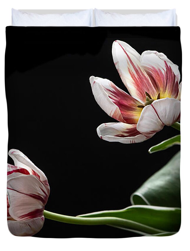 Tulip Duvet Cover featuring the photograph Release by Maggie Terlecki
