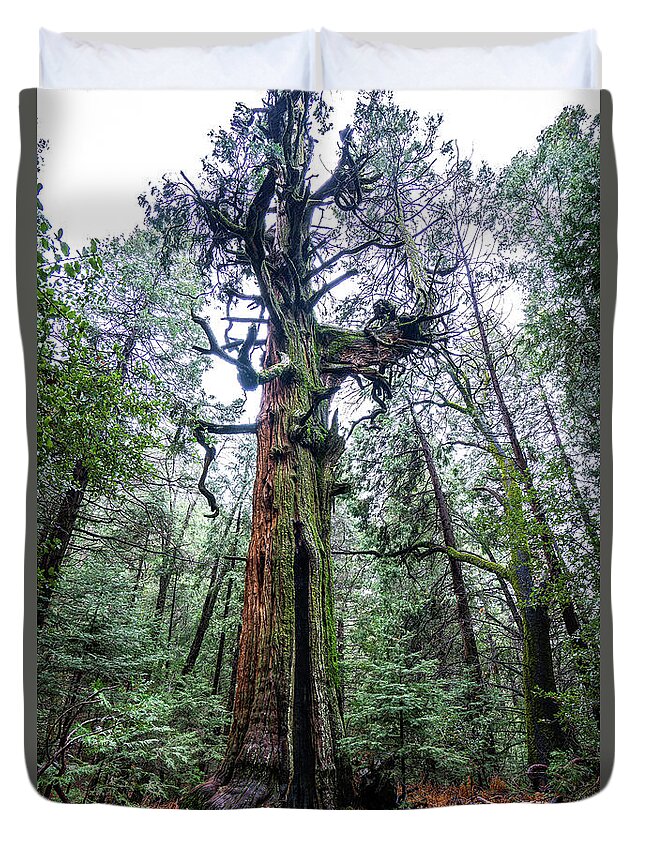 Tree Duvet Cover featuring the photograph Resident by Ryan Weddle