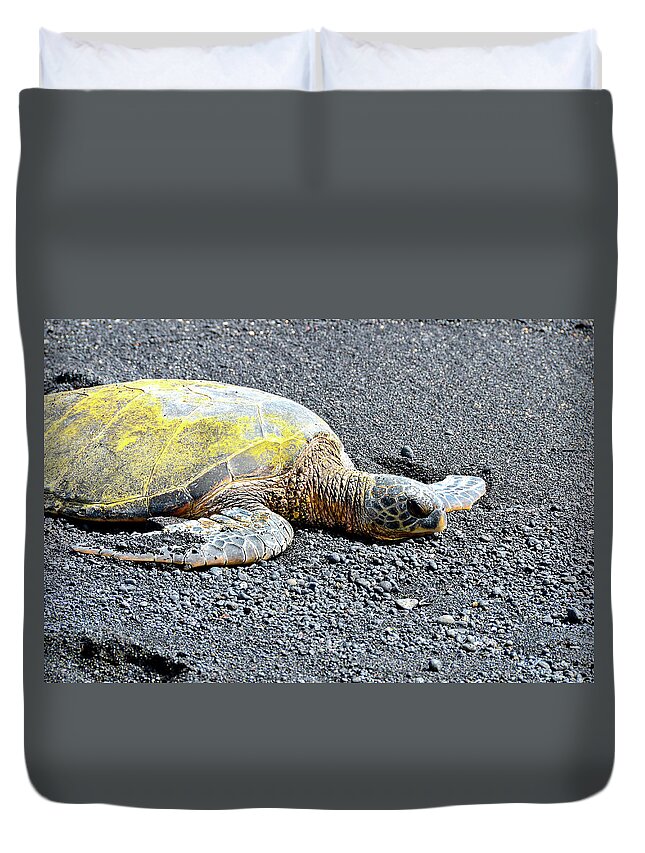 David Lawson Duvet Cover featuring the photograph Rest Time by David Lawson