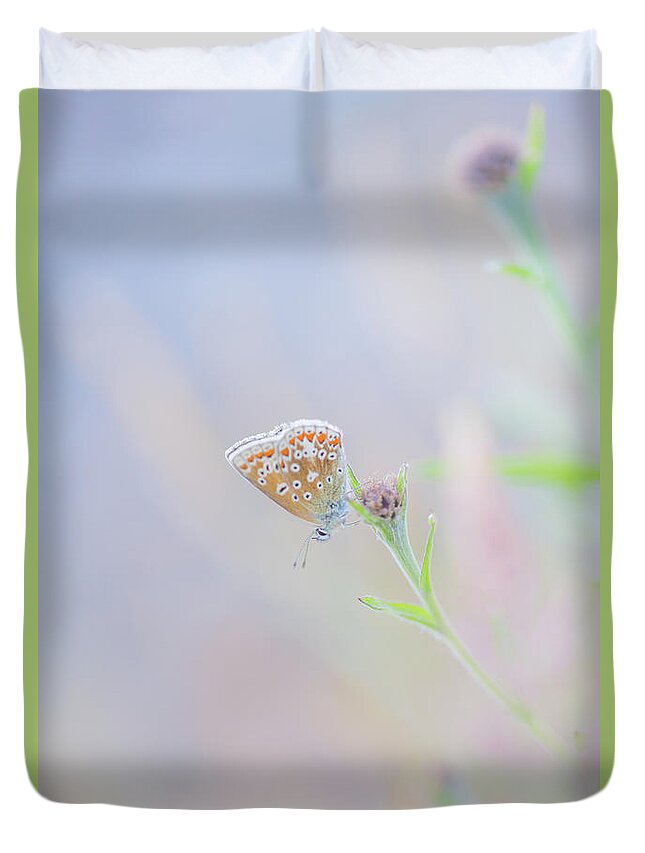 Butterfly Duvet Cover featuring the photograph Resting Common Blue Butterfly by Anita Nicholson