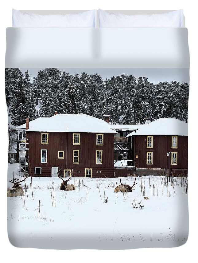 Elk Duvet Cover featuring the photograph Resting Elk - 9131 by Jerry Owens