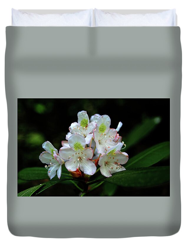 Bloom Duvet Cover featuring the photograph Rhododendron Bloom by James C Richardson