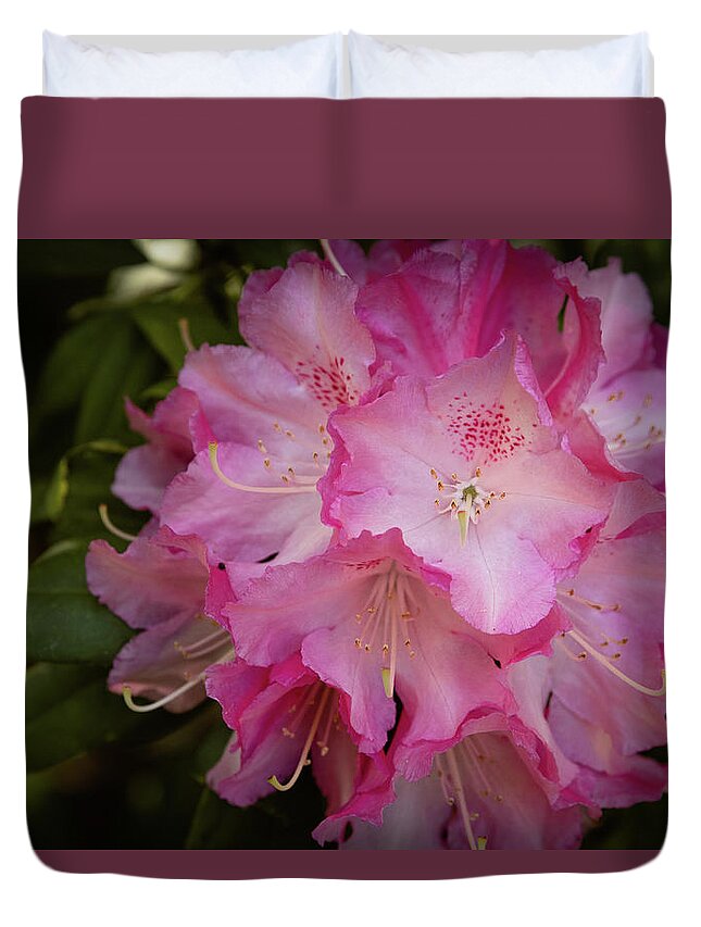 Catawba Rosebay Duvet Cover featuring the photograph Rhododendron Macro by Joni Eskridge