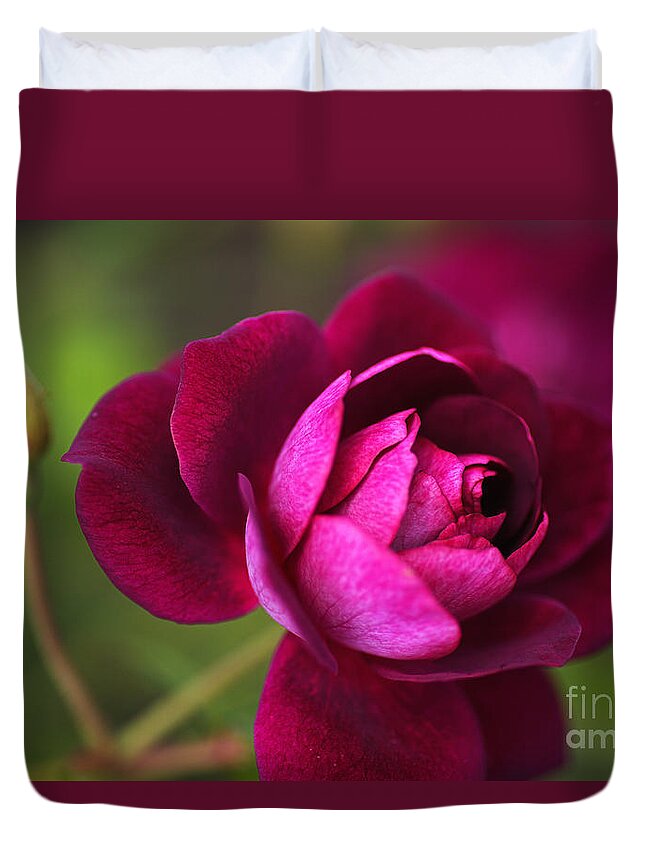 Rich Pink Duvet Cover featuring the photograph Rich Pink Rose by Joy Watson