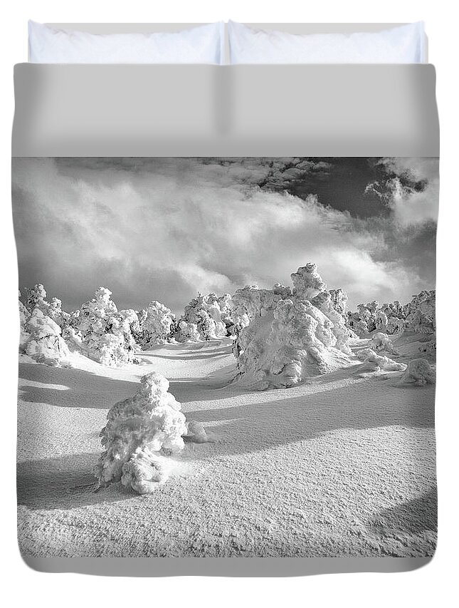 New Hampshire Duvet Cover featuring the photograph Rime Forest by Jeff Sinon