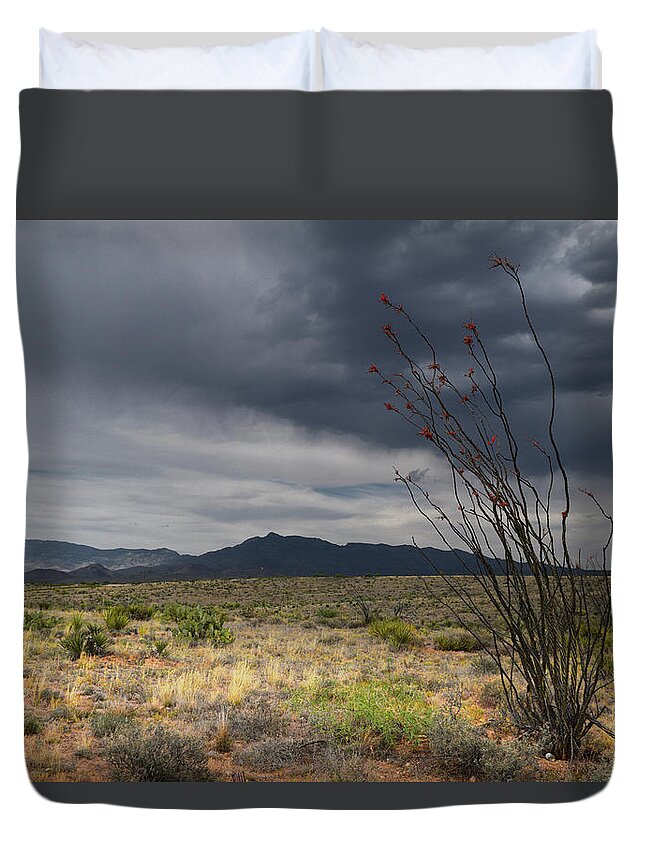 Rincon Mountains Duvet Cover featuring the photograph Rincon Mountains Storm Clouds and Ocotillo, Tucson AZ by Chance Kafka