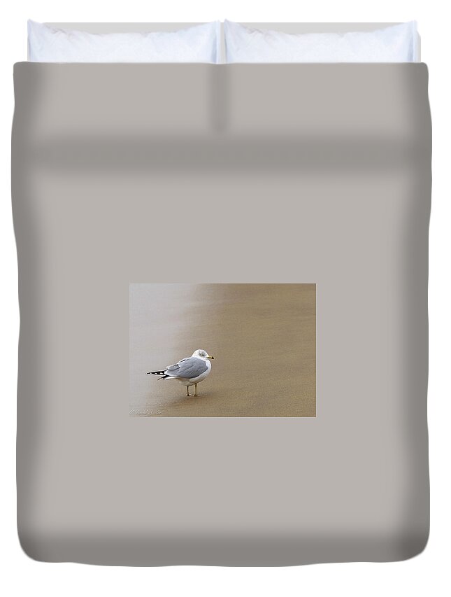 Birds Duvet Cover featuring the photograph Ring-billed Gull by David Lee