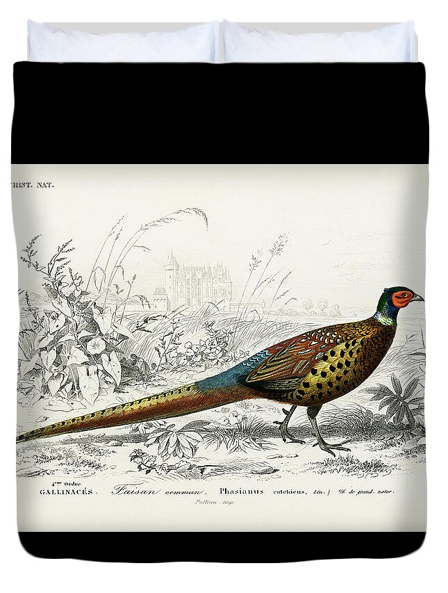 Ring-necked Pheasant Duvet Cover featuring the mixed media Ring-necked Pheasant by World Art Collective