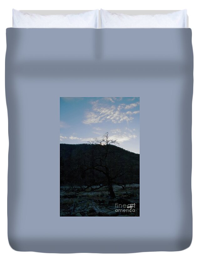 Oak Tree Duvet Cover featuring the photograph Rising Over the Hill by Theresa Fairchild
