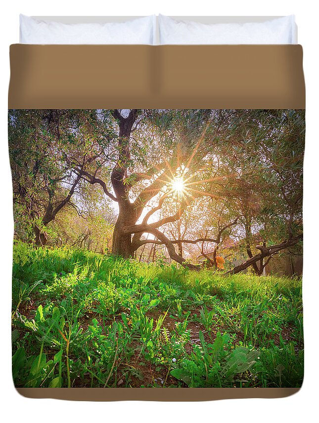 Rising Sun Duvet Cover featuring the photograph Rising sun by Giovanni Allievi