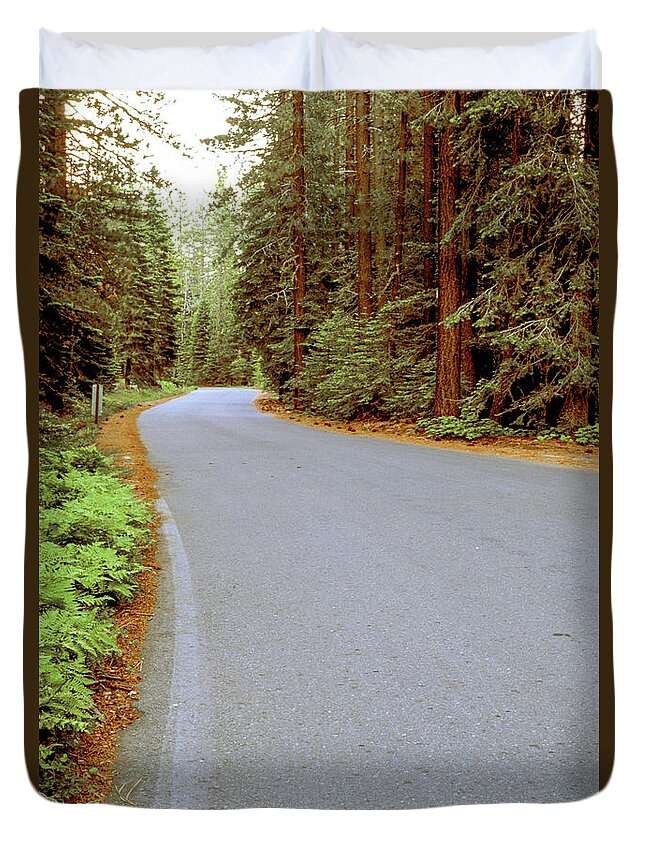 Forest Duvet Cover featuring the photograph Road Through the Forest by Randy Bradley