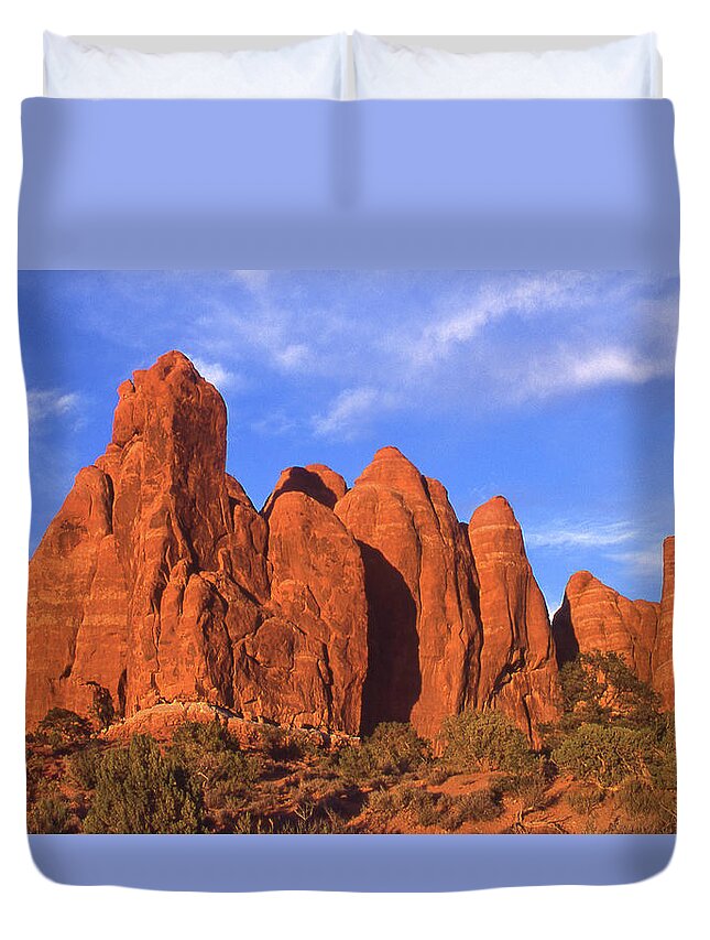 Desert Duvet Cover featuring the photograph Roadside Beauty in Utah by Mike McGlothlen