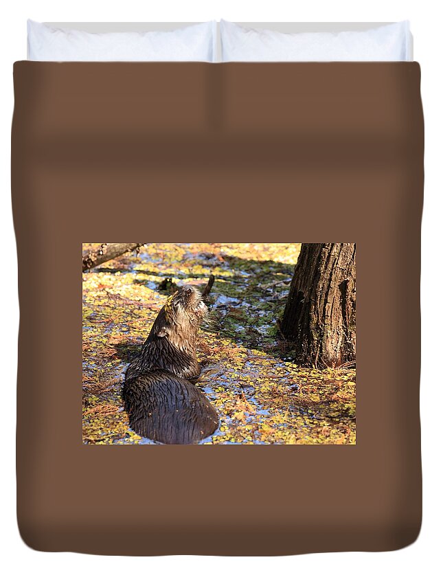 Otter Duvet Cover featuring the photograph Roaring Otter by Mingming Jiang
