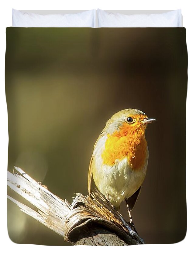 Robin Touched By The Light Duvet Cover featuring the photograph Robin touched by the light by Rose-Marie Karlsen