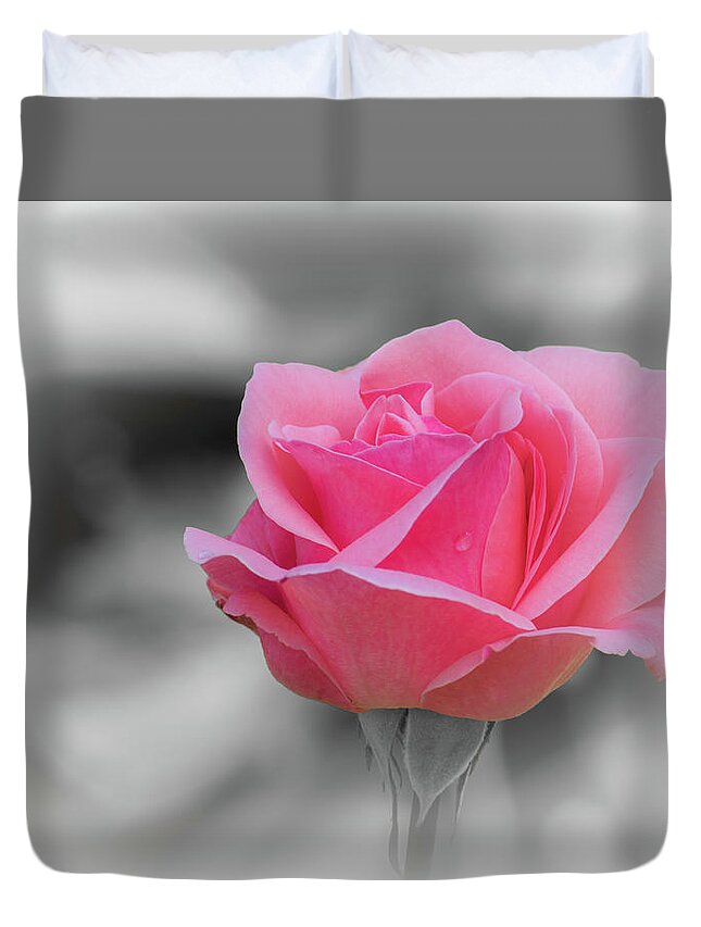 Pinkish Rose Duvet Cover featuring the photograph Romantic pinkish rose with a raindrop by Torbjorn Swenelius