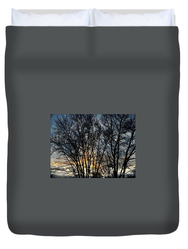 Nature Duvet Cover featuring the photograph Rooftop Winter Sunset - Impressionism by Frank J Casella