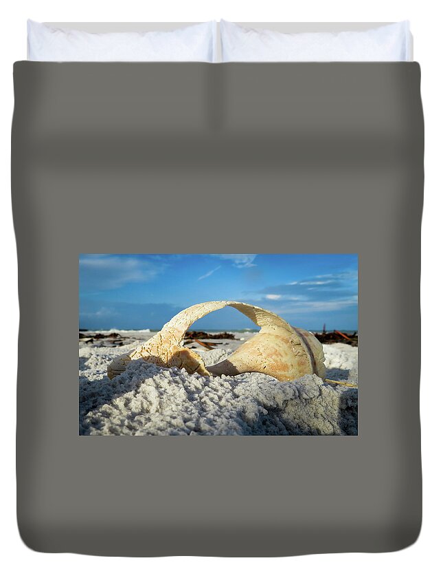 Roomwithaview Duvet Cover featuring the photograph Room With A View by Vicky Edgerly
