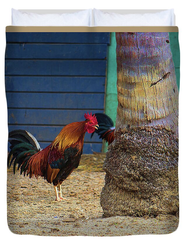 Rooster Duvet Cover featuring the photograph Rooster Crowing at a Tree by Roberta Byram