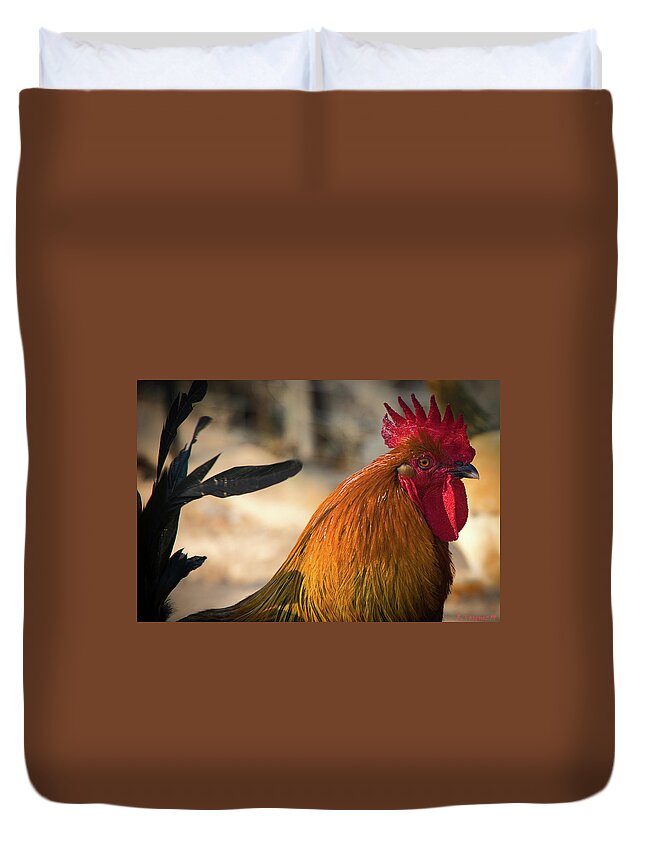Chicken Duvet Cover featuring the photograph Rooster by Rene Vasquez