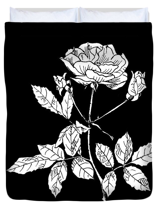 Rose Duvet Cover featuring the drawing Rose 2 on Black by Masha Batkova