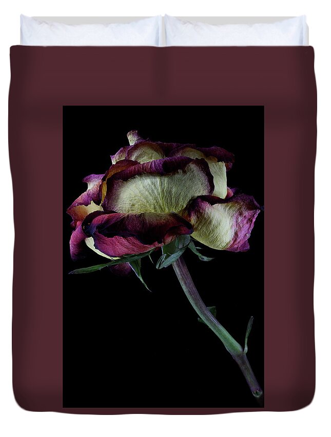 Macro Duvet Cover featuring the photograph Rose 3092 by Julie Powell