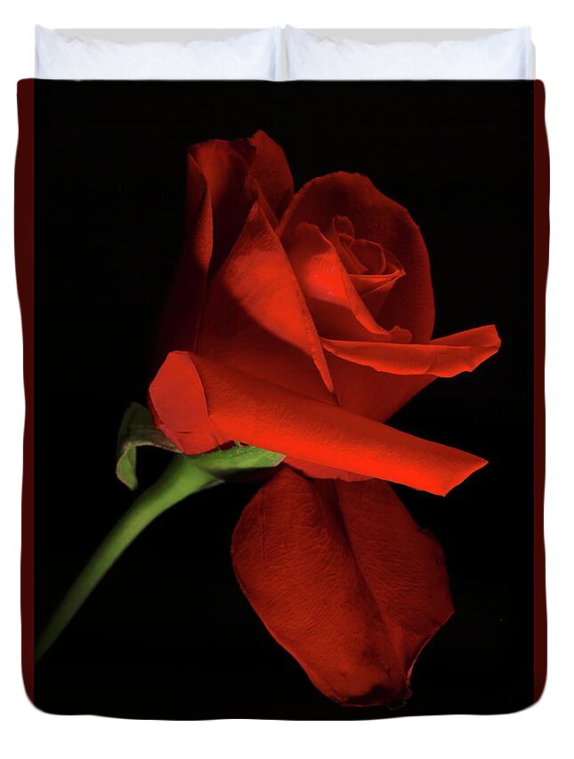 Macro Duvet Cover featuring the photograph Rose 8702 by Julie Powell