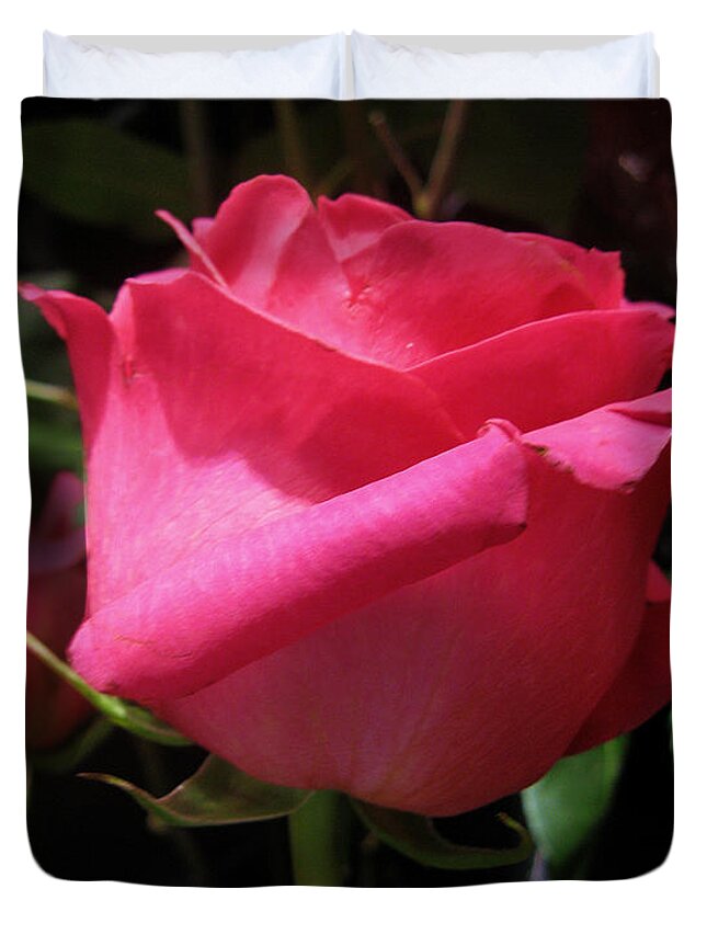 Single Beauty Duvet Cover featuring the photograph Rose Red by David Zimmerman