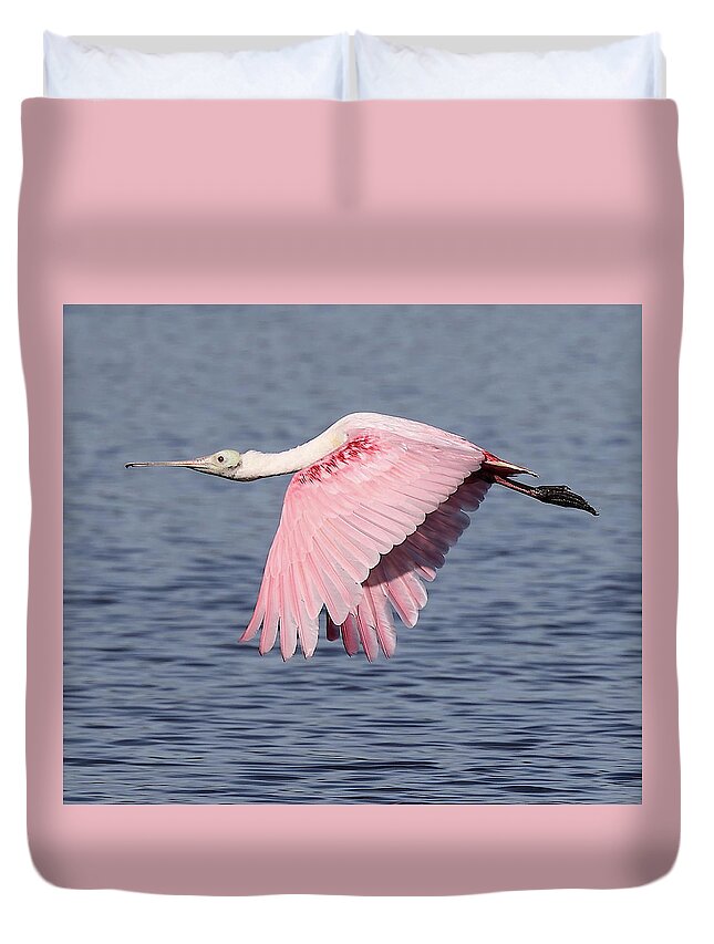 Roseate Spoonbill Duvet Cover featuring the photograph Roseate Spoonbill 6 by Mingming Jiang