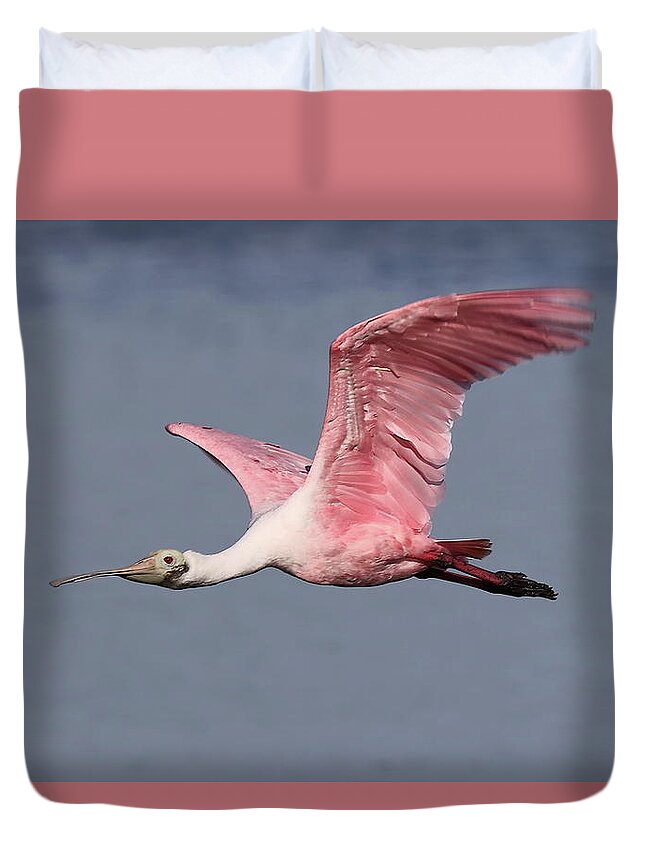 Roseate Spoonbill Duvet Cover featuring the photograph Roseate Spoonbill 7 by Mingming Jiang