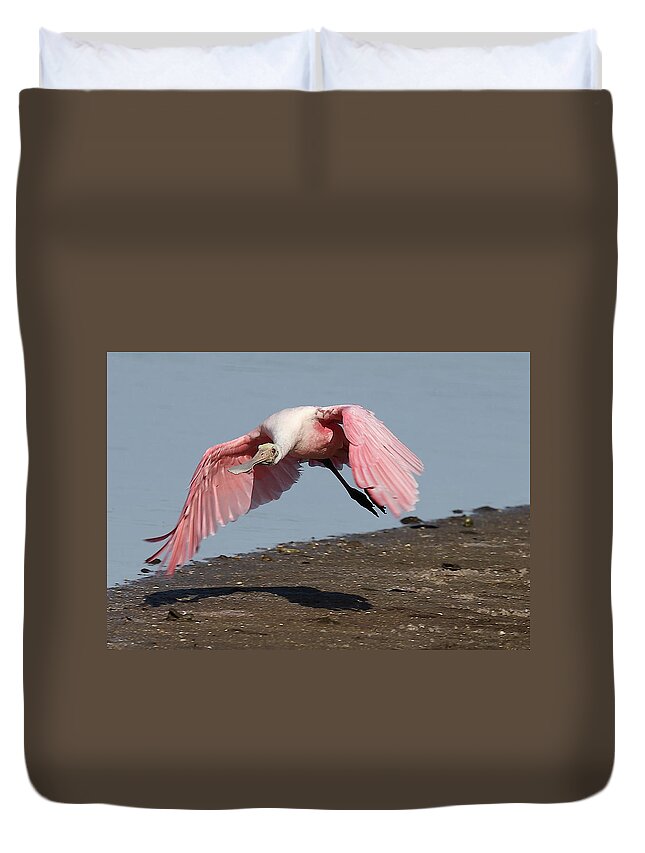 Roseate Spoonbill Duvet Cover featuring the photograph Roseate Spoonbill 8 by Mingming Jiang