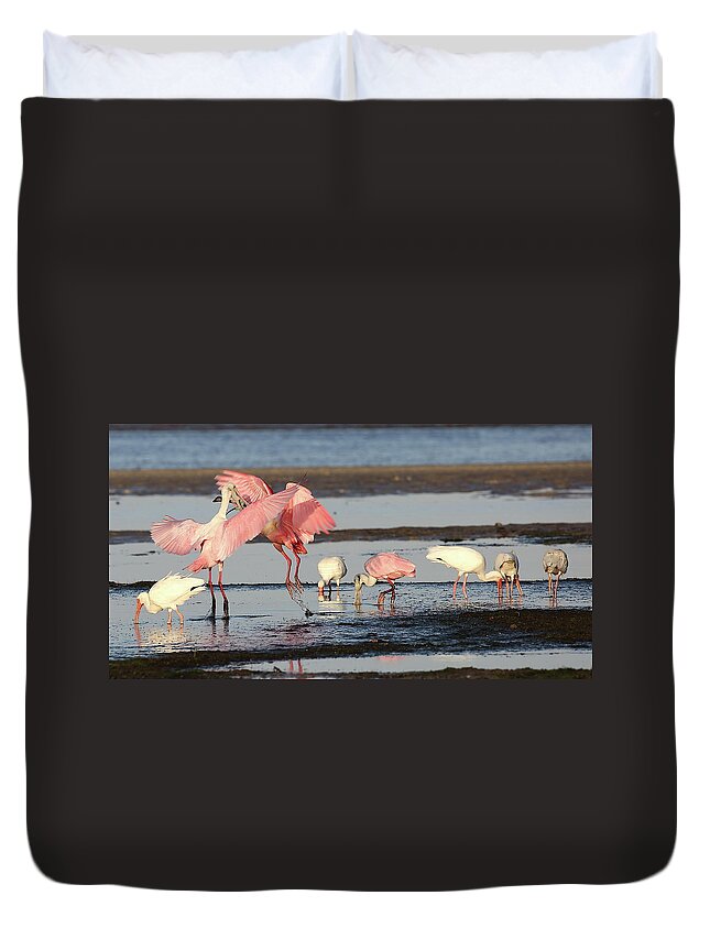 Roseate Spoonbill Duvet Cover featuring the photograph Roseate Spoonbill 9 by Mingming Jiang