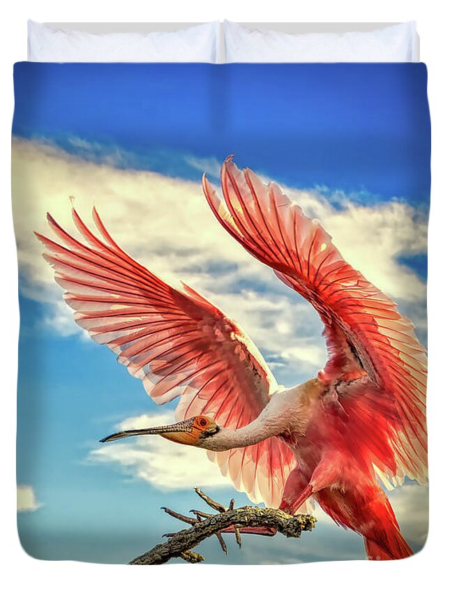 Birds Duvet Cover featuring the photograph Roseate Spoonbill by DB Hayes