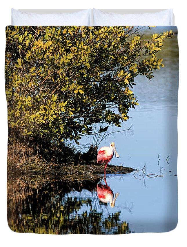 Reflections Duvet Cover featuring the photograph Roseate Spoonbill II by Felix Lai