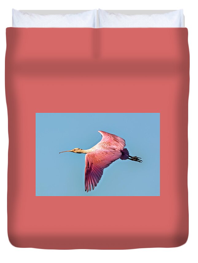 Roseate Spoonbill Duvet Cover featuring the photograph Roseate Spoonbill in Flight by Jerry Griffin