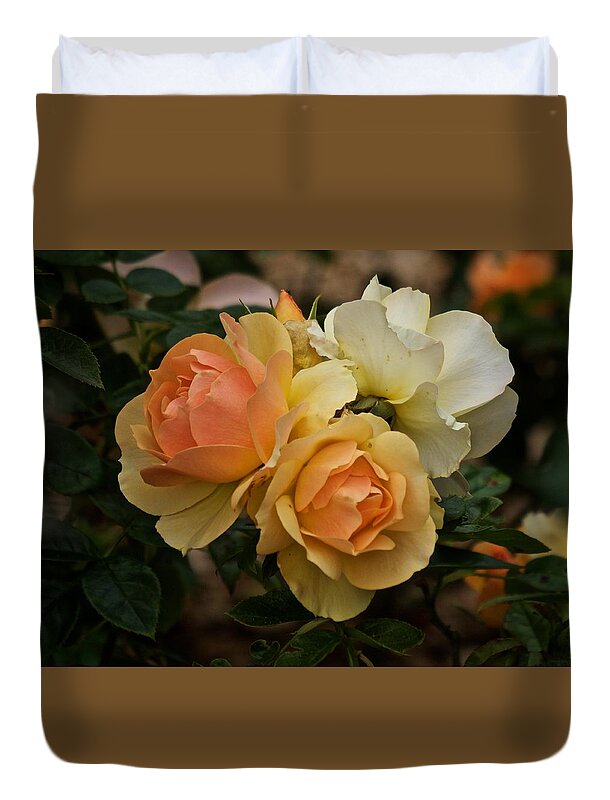 Roses Duvet Cover featuring the photograph Roses 2020 by Richard Cummings