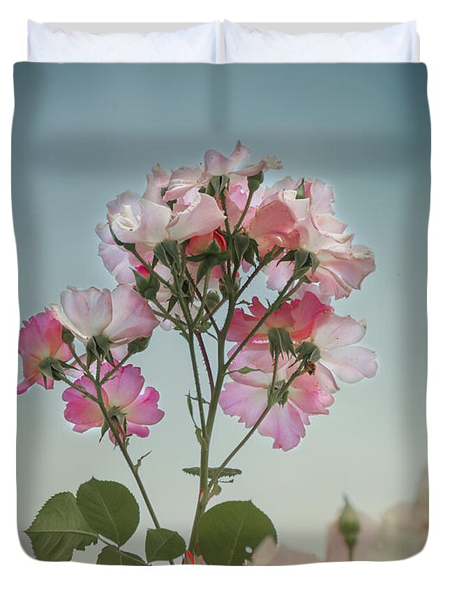 Roses Duvet Cover featuring the photograph Roses in the Sky by Elaine Teague