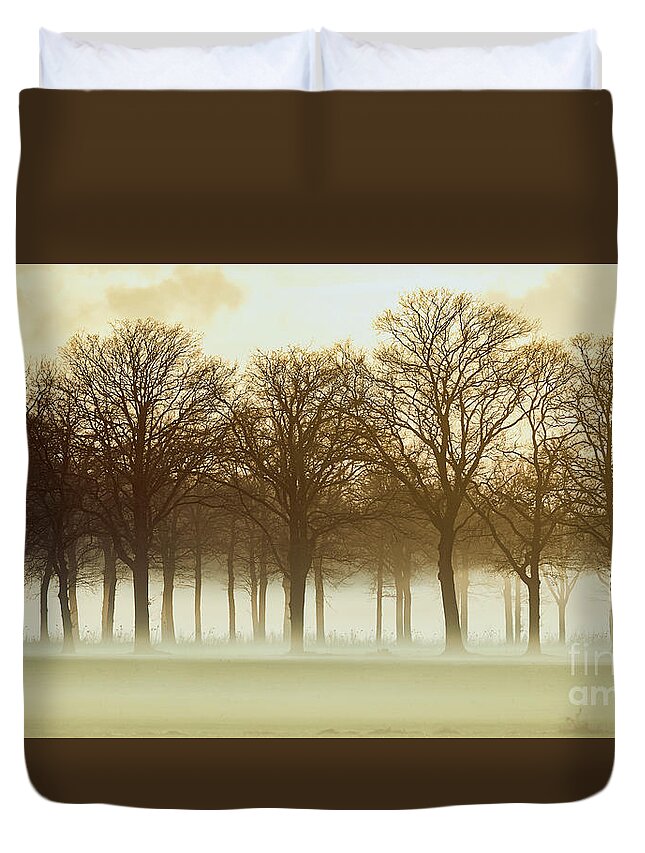 Row Trees Duvet Cover featuring the photograph Row trees in a low-hanging mist by Nick Biemans